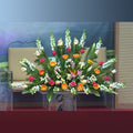 Wedding & Ceremonies 7